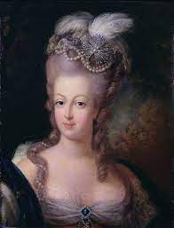 Marie Antoinette Introduced Maine Coon Cats to The New England Area of the United States