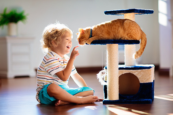 Child playing with cat at home using a cat tower