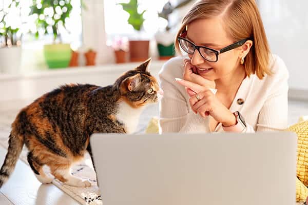 Smiling woman lies on carpet in living room works on laptop at home with cat near