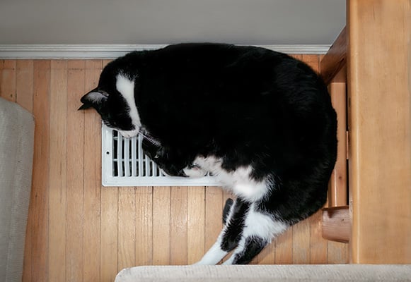Top view of large fat black and white male cat lying comfortable stretched out over the furnace vent