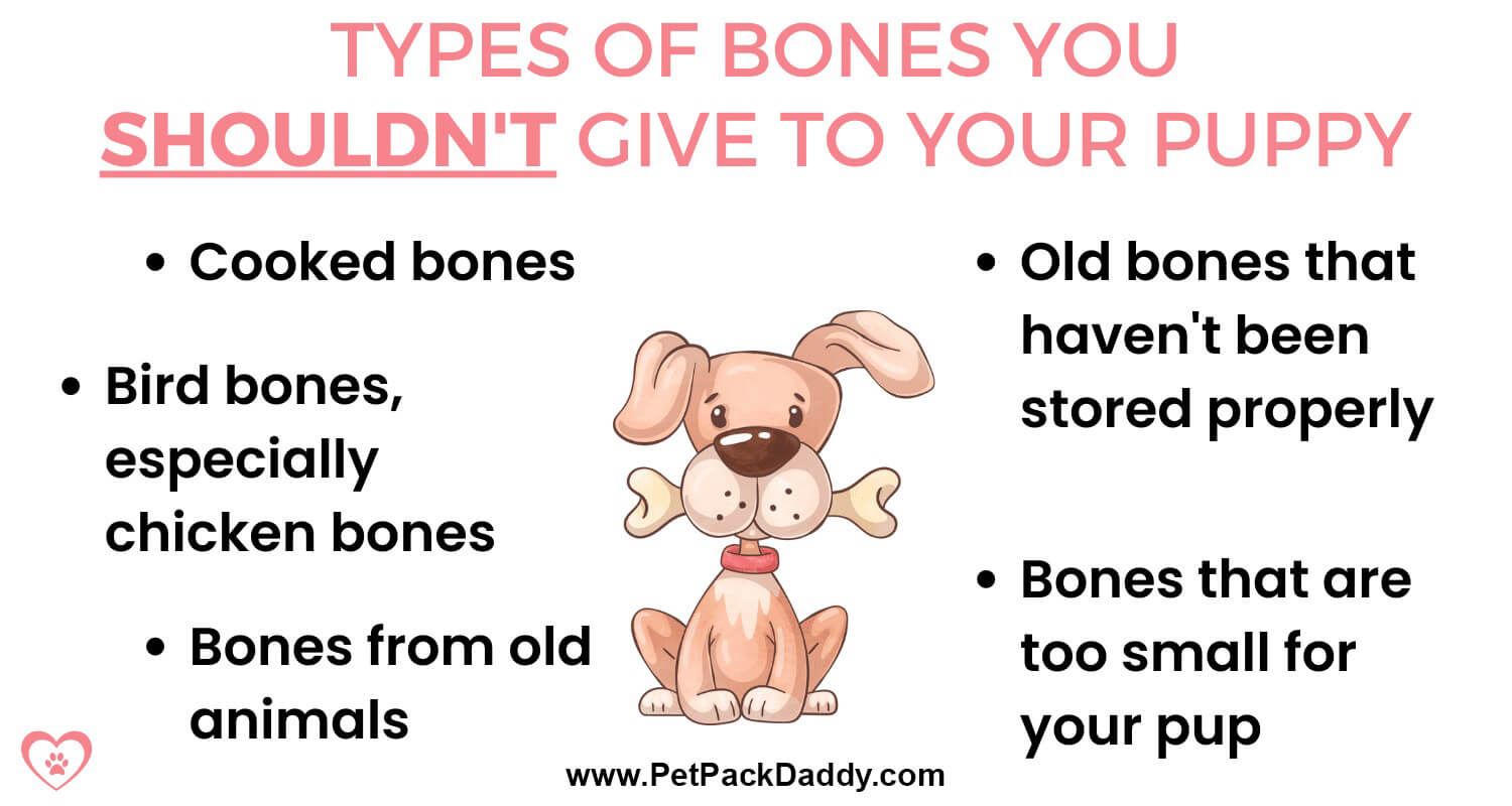 Types of bones you shouldn't give your puppy infographic