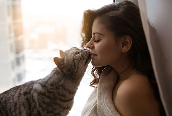 Big cat kisses a pretty girl
