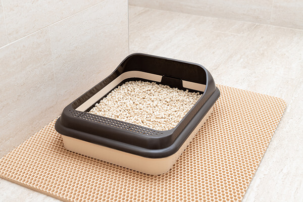 Use A Litter Mat Under And Around The Litter Box To Stop Litter Tracking