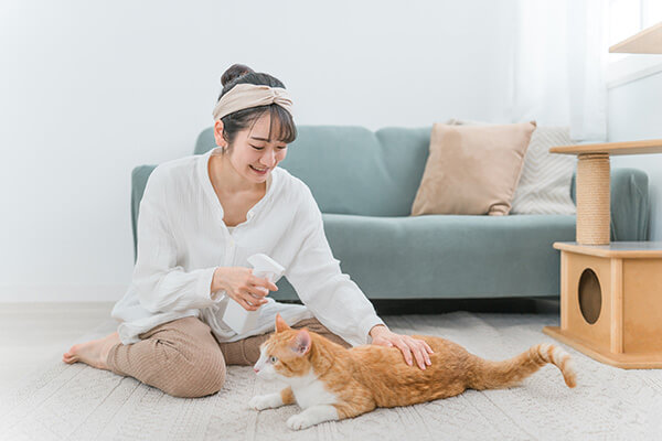 Woman spraying supplement on cat to prevent dandruff