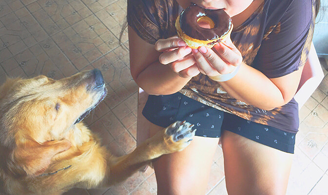 Young woman eating a donut while her dog tries to eat it
