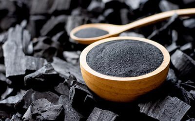 Can You Give Dog Activated Charcoal For Toxin Health