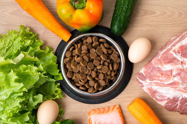 Dry pet dog food with natural ingredients