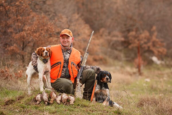 Hunter with two hunting dogs