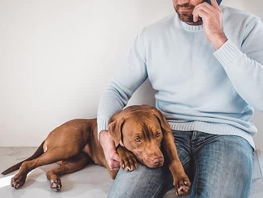 Man calling the veterinarian cause dog is not feeling well